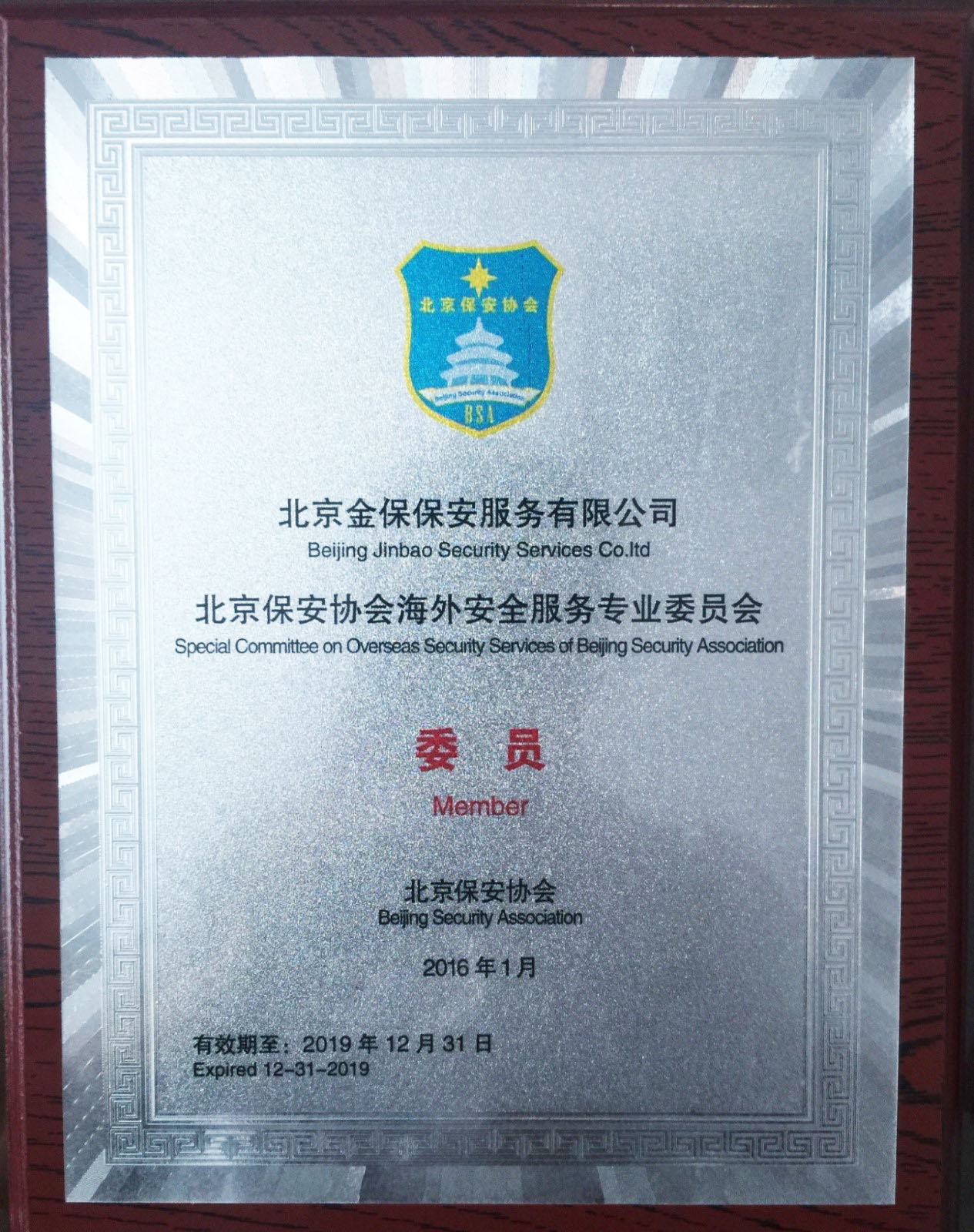 海外安全服务委员会